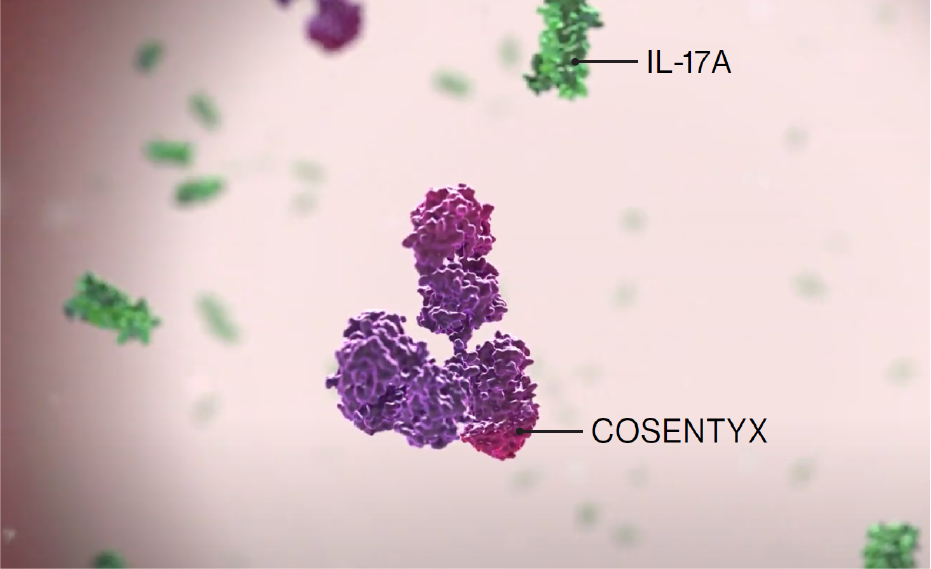 Image of the IL-17A and Cosentyx molecules