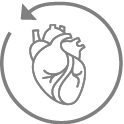 Infographic image of heart depicting improvements in key echocardiographic measures of reverse cardiac remodelling vs ACEi/ARBs