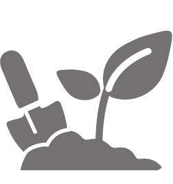 Image of a spade and a plant, representing gardening