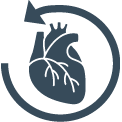 Image of a heart, representing EVALUATE-HF (N=465): Entresto showed improvements in reverse cardiac remodelling, with comparable safety vs ACEi (enalapril; the primary endpoint was not met in the EVALUATE-HF trial)