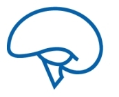 Neuroscience icon