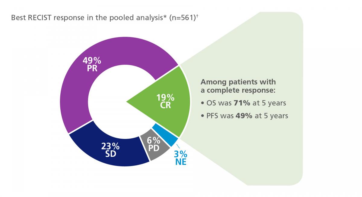 Diagram showing patient response to treatment in the pooled COMBI-v/d trials